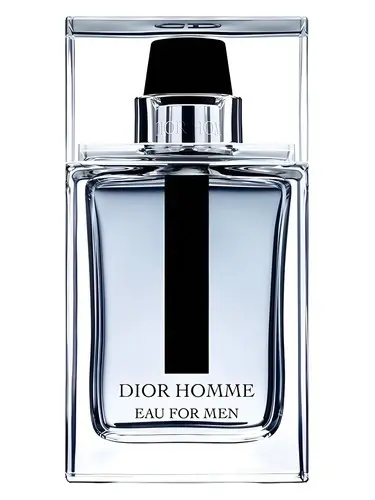 Dior Homme
