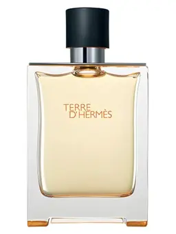 Hermès Terre d'Hermès